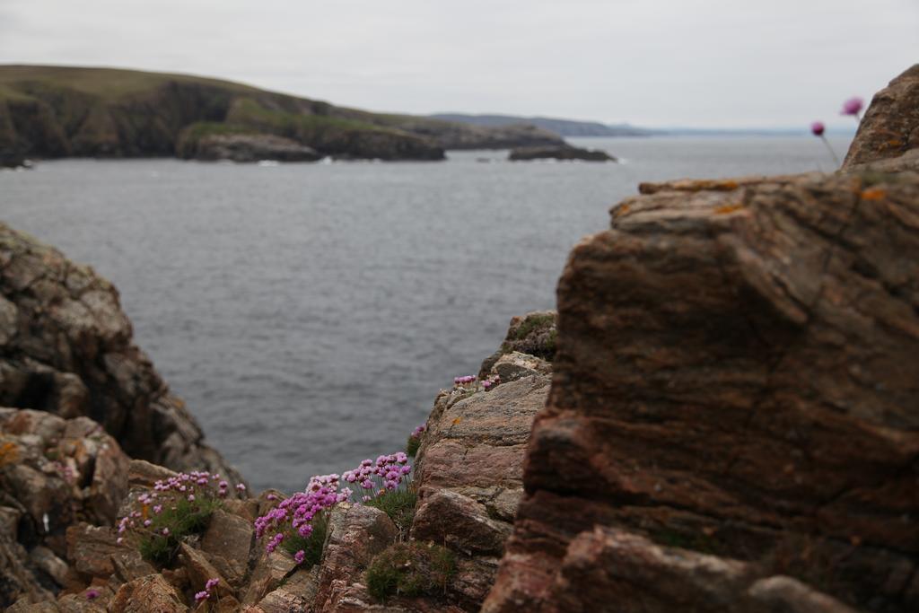 Armadale House Scotland Farr North Coast B&B Exterior foto